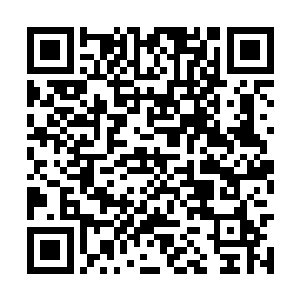 武月凝的梦境或许是她和葬神之地神秘联系的关键二维码生成