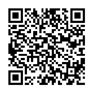 武田智准备在戢天柱消失的刹那使出某种搏命的近身杀招二维码生成