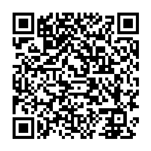 武神天威也沒有办法完全抵御天道霹雳配合森罗九变的强大攻击了二维码生成