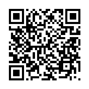 武艺和真法修为早已经是深不可测了二维码生成