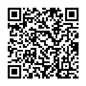 武英奇不应该对七海大市场发生的一切都懵懂无知么二维码生成