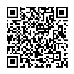 武英奇引爆了武英琴心的大脑才对他实施洗脑攻击二维码生成