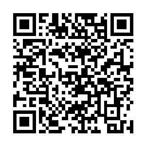 武英奇的确没有洗掉所有光头强者的正常逻辑思维能力二维码生成