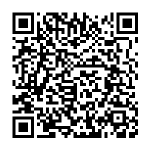 武道联盟派出了十个顶尖武帝强者和一个武圣强者来到了边境战场二维码生成