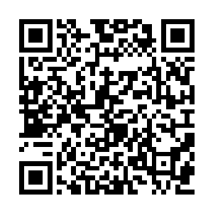 歪着脑袋打量了一下这个跟他差不多高的小正太二维码生成