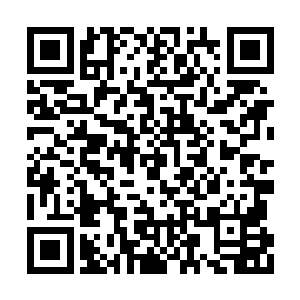死也要得到免费治疗机会的患者就只剩下了五个二维码生成