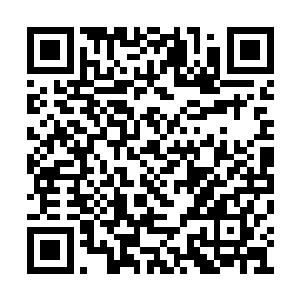 死了……这个时候救助人的高加索犬都会被杀死二维码生成