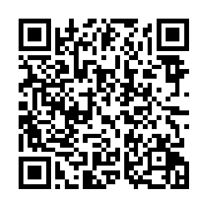 死了……长老死了……子冥长老被孟猊这魔头杀死了……二维码生成