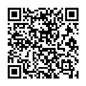 死了不仅会红名还会掉装备以及掉双倍经验作为惩罚二维码生成