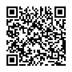 死于各种奇奇怪怪或者普普通通的理由死亡不需要原因二维码生成