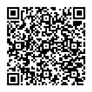 死亡山林上那些修士眼见吴岩撒出阵盘和阵旗明知吴岩想干什么却没人敢出手阻止二维码生成