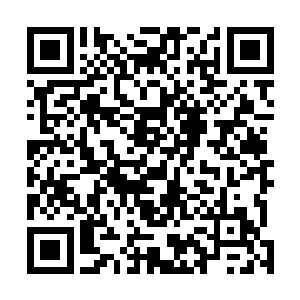 死伤了变异生物的数量过千……这也幸好是群居的大族群二维码生成