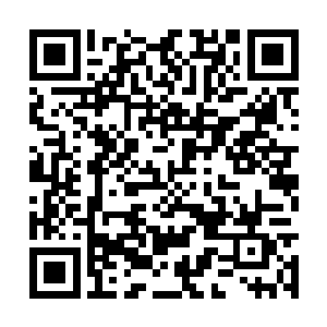 死去的大象大多数都是内脏受伤和耳膜受伤的大象二维码生成