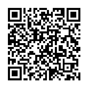 死去那些绝世强者身体中也蕴含着大量的能量和天地元气二维码生成