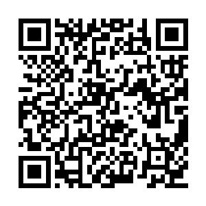 死在你的面前――你现在是不是特别想替她报仇二维码生成