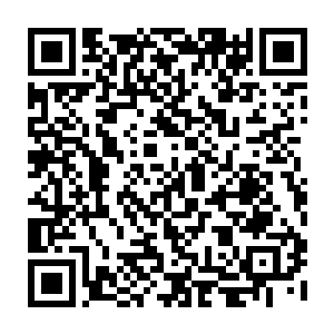 死在我和图德天神对战不断传出的冲击波和火焰力量之下的鬼修也不在少数二维码生成