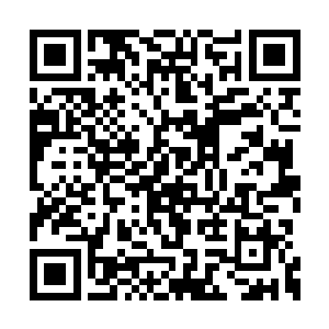 死死地盯着远处那些弥漫在神魄四周的五色罡气二维码生成