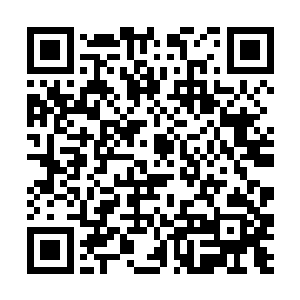 死气之灵已经习惯了我从各个区域里得到珍贵的资源二维码生成