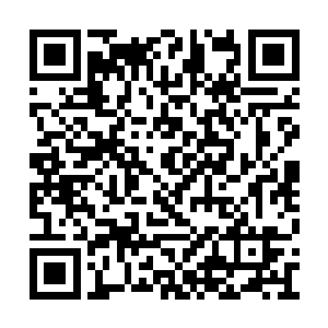 死者可能在长达十二个小时之内一直被强迫进食二维码生成