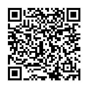 殊不知波阳湖守将让死而复生的杜建康杀了一个回马枪二维码生成