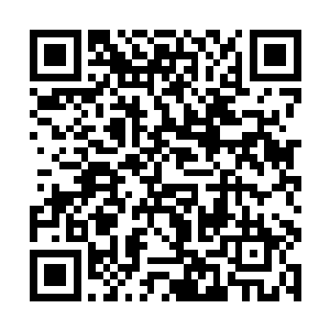 残影和旋风围城的小圈子中忽然扩散了出了一道波纹二维码生成