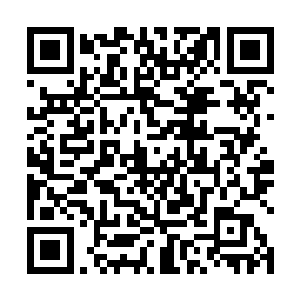 残留在剑尘心中的那一丝担忧也随着长阳虎的这一句话二维码生成