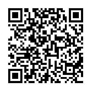 残酷的命运还是给予了你们这个堕落的家族以公正的裁决二维码生成