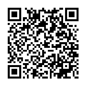 残酷的竞争法则驱使着强大的棋子吞吃掉弱小的二维码生成