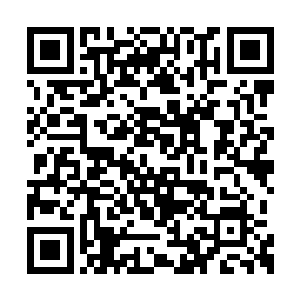 殚精竭虑地选择那些能提升族群数量的变异方向二维码生成