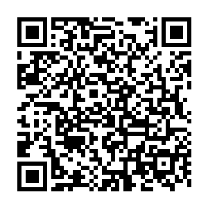 段小虎手下不少人都是见识过周狼厉害和段威对周狼的恭敬态度的二维码生成