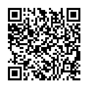 殷蔓蔓提名徐虹担任归德市佳园置业公司的总经理二维码生成