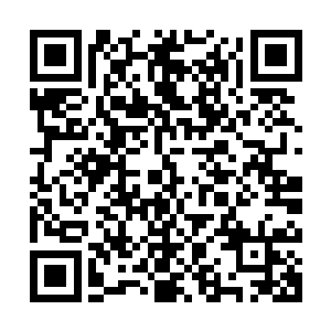 殷蔓蔓组织佳园置业的主要股东和公司部分管理层到连云港游玩二维码生成