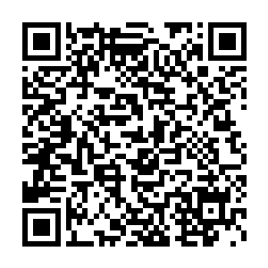 殿主当仁不让的坐在了圆台之上最中间的一个无比华丽的神座之上二维码生成