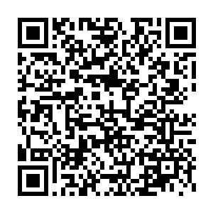 殿内的雕像都是雷曼公国历代出现的对公国存亡有莫大贡献的英雄二维码生成