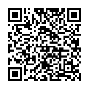 殿内还有不少的家族子弟或者是招募的武者在领取脉石二维码生成