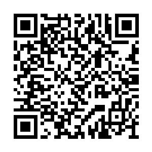 殿前阶上那些青矅引和圣女峰的女弟子目现异彩二维码生成