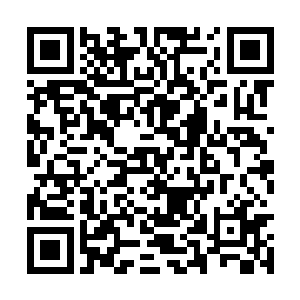 殿外腊梅树上零星的花瓣玉屑似地纷纷被雨水打碎二维码生成