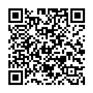 毁几乎是眼中含带着无尽的恨意看着那股绿色力量二维码生成