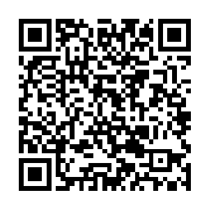 毅然转身朝着身后追来的九级的蜘蛛魔冲了过去……二维码生成