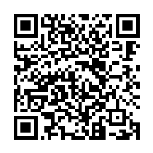母亲……我要母亲……呜呜呜……我要母亲……放开我二维码生成
