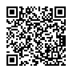 母亲从小对我的教导归结起来只有一句话不需要我成为伟人二维码生成