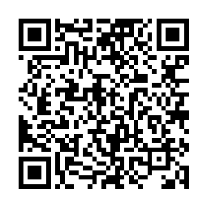 母亲从新闻看到南海青阳发现了撒那特斯病毒携带者二维码生成