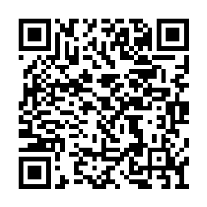 母亲在灶房偷偷给自己开小灶煮鸡蛋的时候……二维码生成