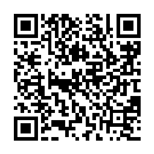 母亲说的就是末日之城战死的那些强者所形成的鬼魂吧二维码生成