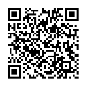 母妃什么时候回宫取决于月寒宫什么时候修复好二维码生成