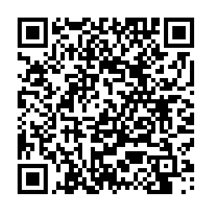 每一丝一缕的能量对于他來说都极其珍贵…他竟然耗费灵力來帮助自己恢复二维码生成