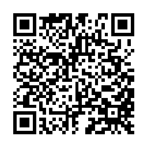 每一个主人生活的院子里都或多或少发现些好东西二维码生成