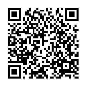 每一个人一生都只有一把剑……或许有人实力不行二维码生成