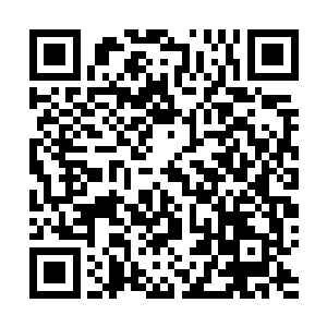 每一个人每一只怪物都应该丧尽天良不知恐惧为何物才对二维码生成