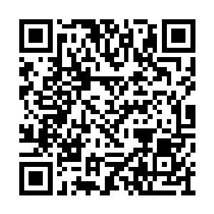 每一个人都感应文台底座那无比分明的法家力量二维码生成